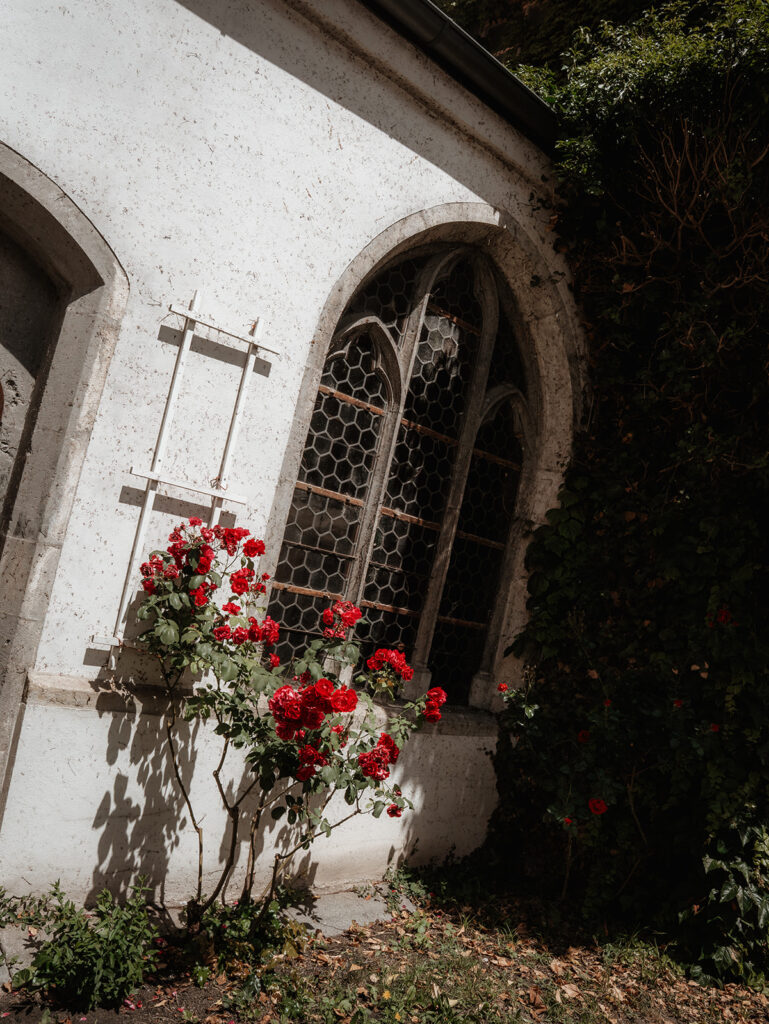 Mauer mit Rosen vor Location zum Heiraten in Regensburg