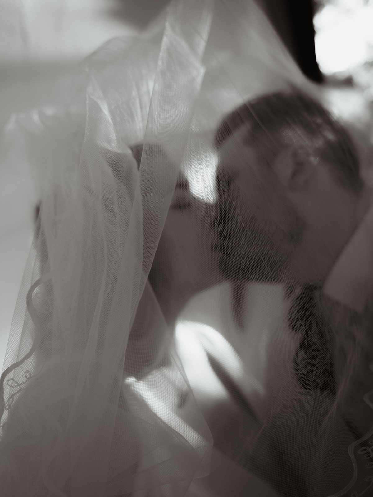 küssendes Brautpaar auf Hochzeit hinter Schleier versteckt